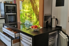 versteckter Gefrierschrank, extra breite Küchenauszüge, beleuchtete Glasrückwand